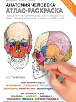 Анатомия человека_АТЛАС-Раскраска