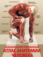 Атлас анатомии человека