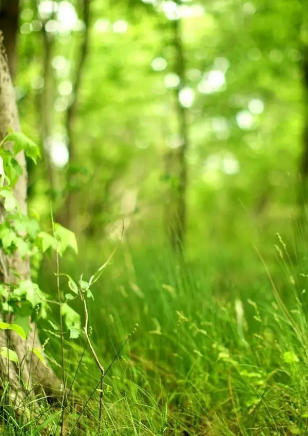 Nature_07